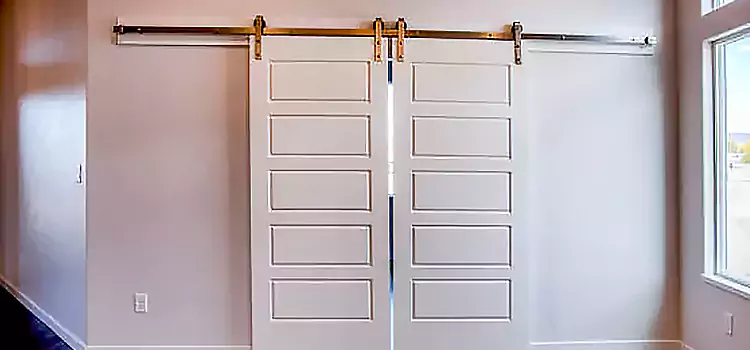 Glass Barn Door with Installation Hardware Kit Woburn